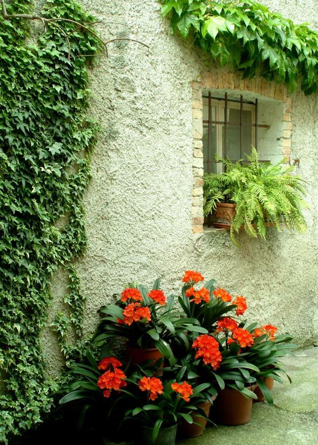 B&B Gil D'O Bertiolo Exterior foto